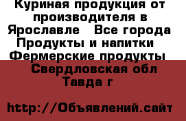 Куриная продукция от производителя в Ярославле - Все города Продукты и напитки » Фермерские продукты   . Свердловская обл.,Тавда г.